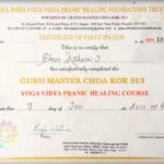 Yoga Vidya Pranic Healing Course, Jan 2011